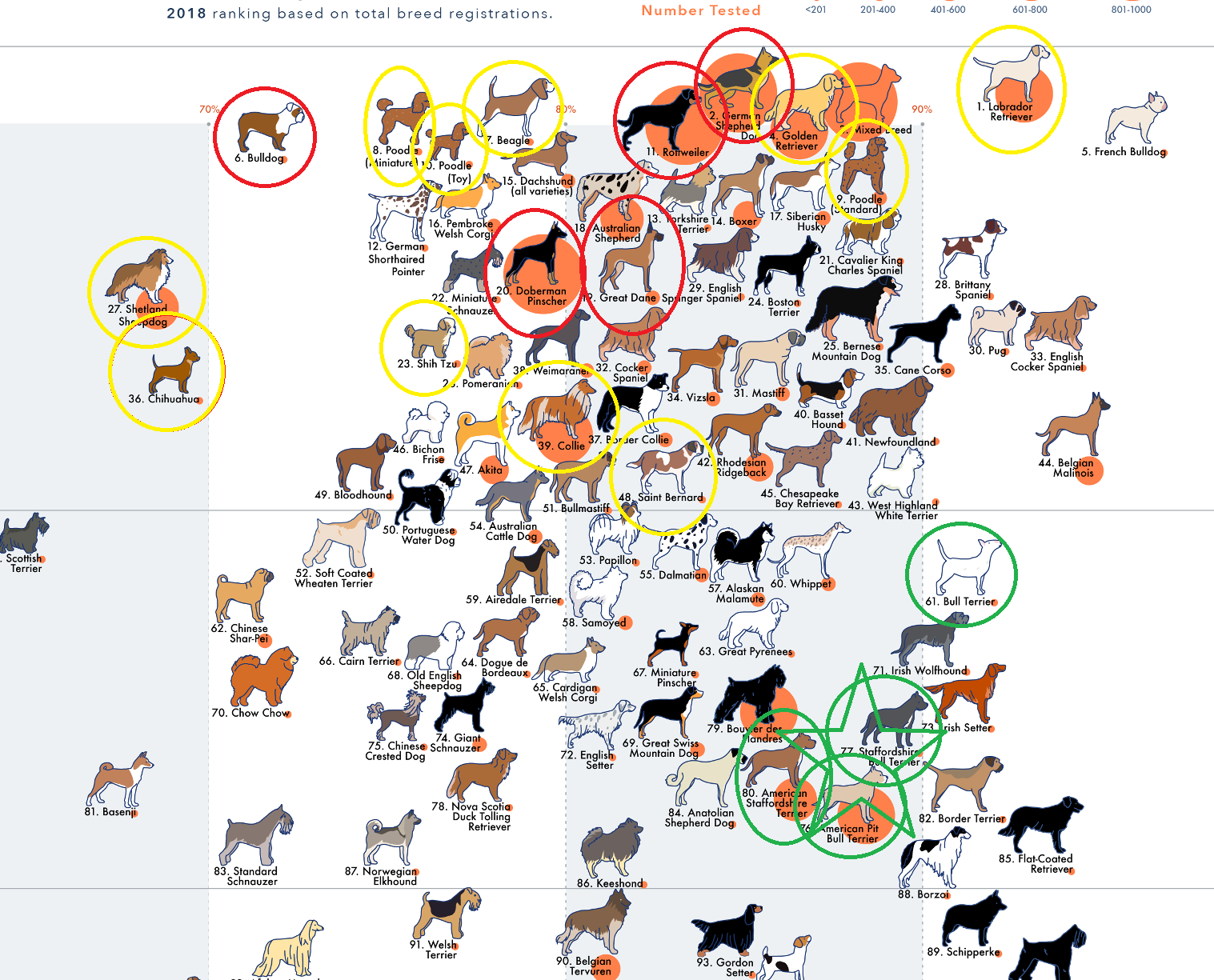 dog temperaments test 3 zoomin.png